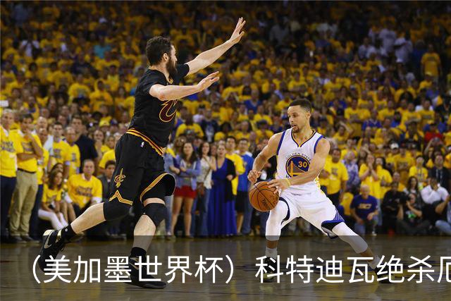 （美加墨世界杯）科特迪瓦绝杀厄瓜多尔 瑞典5:1大胜突尼斯